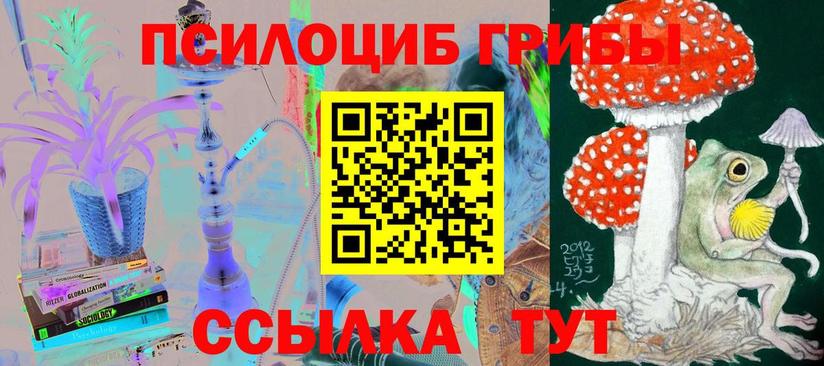 Псилоцибиновые грибы мухоморы  Вход с VPN  Урюпинск  Псилоцибиновые грибы мицелий 